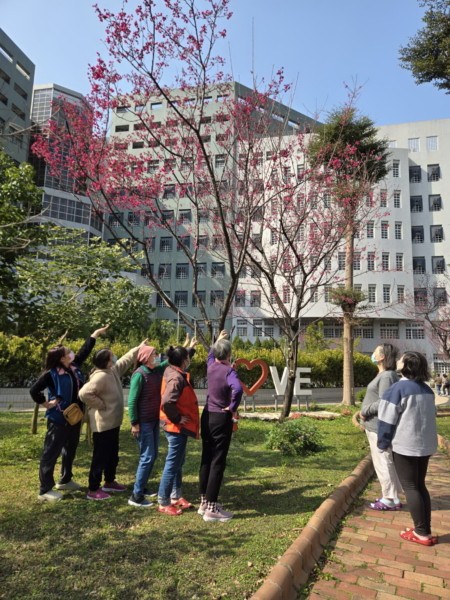 照片白天可多往戶外活動曬太陽有助於情緒調節與睡眠品質桃療提供.jpg