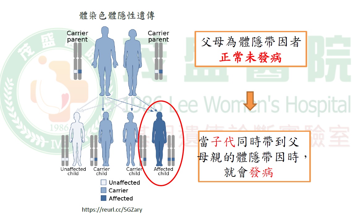 體染色體隱性遺傳