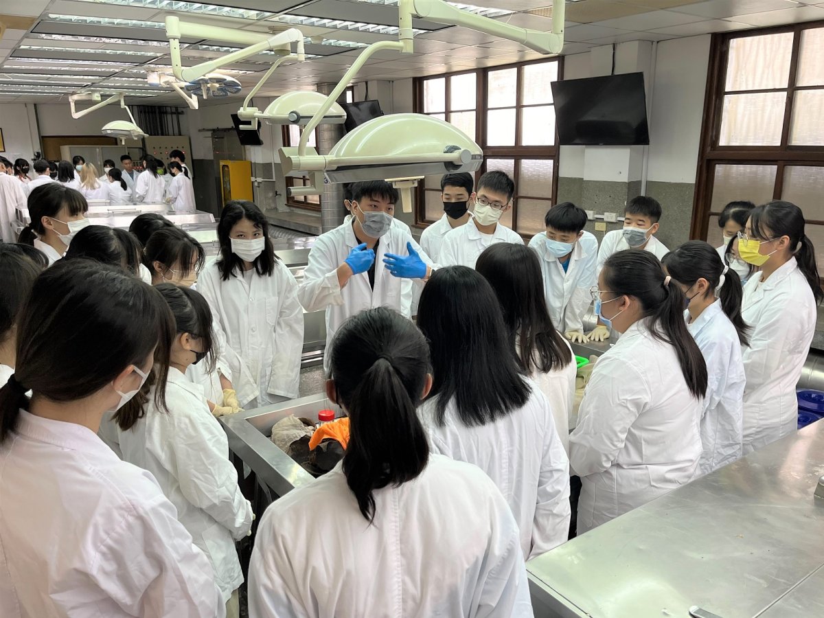 4 中山醫大解剖營提供大體實習室內的學習環境讓高中生直接面對已經解剖完成的人體